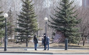 «Яндекс» начал отслеживать, как самоизолируются Бугульма, Елабуга и Лениногорск