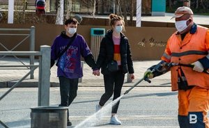 На проведение противоэпидемических мероприятий в Елабужском районе Татарстана направят 1,5 миллиона рублей