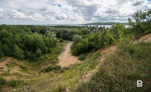 В Татарстане выделили дополнительные 8 млн рублей на обработку территорий от грызунов