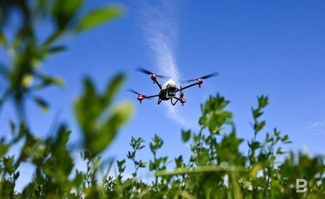 В Совфеде предложили наделить частные охранные структуры правом сбивать беспилотники