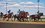 В Казани прошли скачки на пони