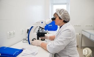 В Нижнекамске зафиксированы первые случаи свиного гриппа