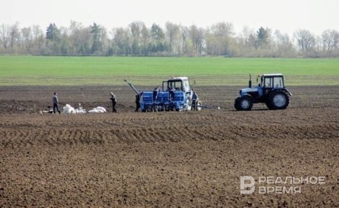 Минсельхозпрод Татарстана: состояние озимых культур после осадков немного улучшилось