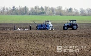 Минсельхозпрод Татарстана: состояние озимых культур после осадков немного улучшилось