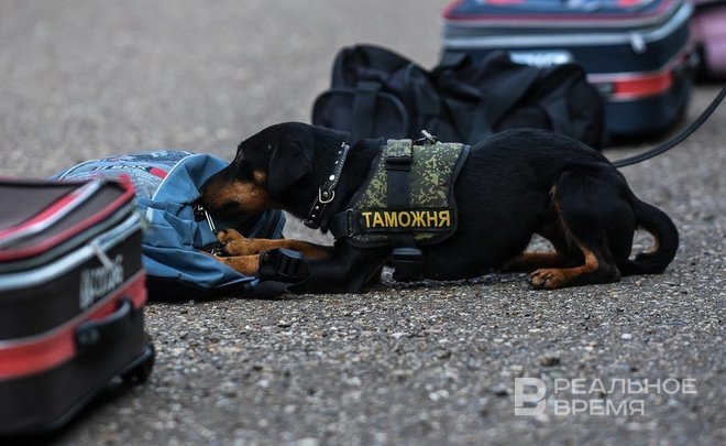 Владимир Путин внес в Госдуму проект ратификации соглашения с Узбекистаном о таможенных представительствах