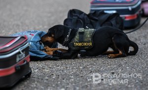 Владимир Путин внес в Госдуму проект ратификации соглашения с Узбекистаном о таможенных представительствах