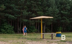 В Татарстане объявили штормовое предупреждение из-за высокой пожароопасности лесов