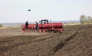 В Татарстане утвердили порядок предоставления субсидий на строительство и ремонт объектов агропрома