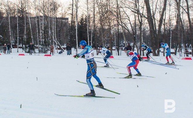В Казани прокат спортинвентаря в лесу на Дубравной разместят на входной группе