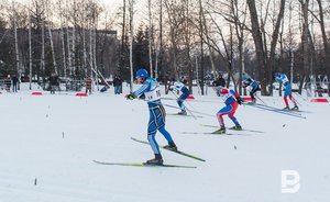 В Казани прокат спортинвентаря в лесу на Дубравной разместят на входной группе