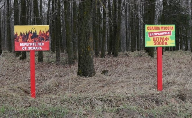 В Самарской области село загорелось в результате пала травы