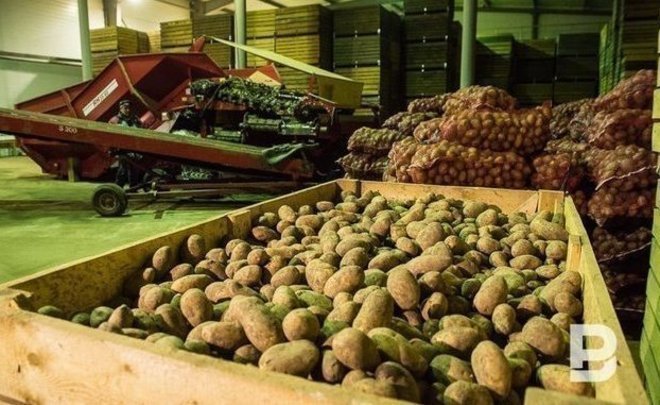 В России выросли оптовые цены на картофель на 71,4%