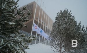 Ради строительства ЦОДа в Иннополисе вырубят примерно четыре сотни деревьев