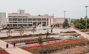 В Челнах проживают 4,5 тысячи многодетных семей