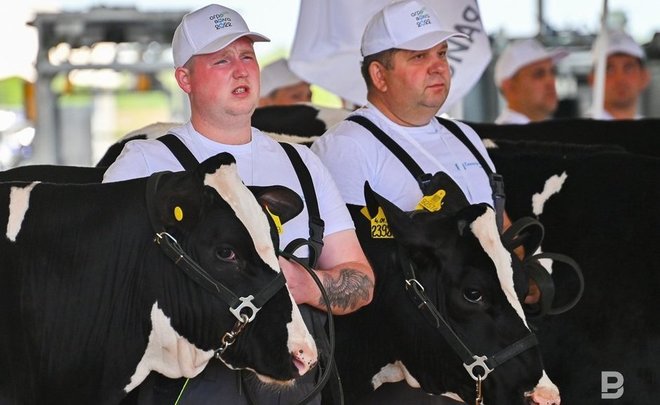 Животноводы Татарстана надоили более 1 млн тонн молока за последние 10 месяцев