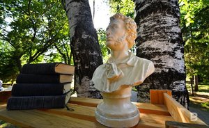 В Татарстане в 2024 году пройдут мероприятия к 225-летию со дня рождения Пушкина