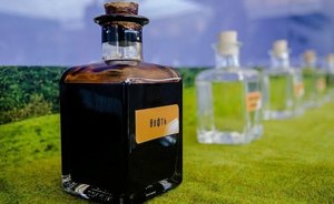 Россия сохранила в июле добычу нефти на уровне июня в рамках договоренностей ОПЕК+