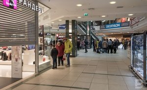 Депутат Госсовета Татарстана предложил Минниханову открыть все торговые центры