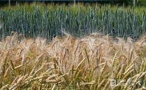 Итоги дня: уборочная кампания-2023, новый парк в Казани, анонс послания Минниханова Госсовету