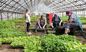 В Татарстане в прошлом году из сел уехали примерно 3 тыс. человек