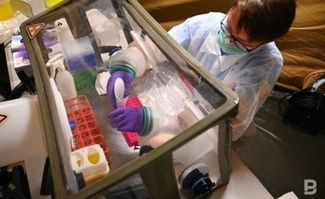 На Украине зарегистрировали первый случай оспы обезьян