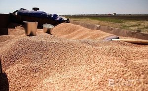 Россия думает над выходом из зерновой сделки — Владимир Путин