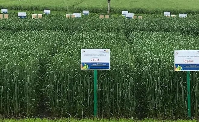 В Татарстане посевная кампания обошлась в 25 млрд рублей