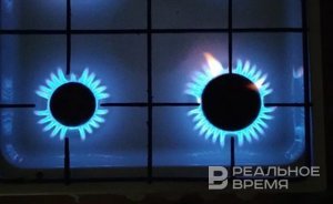 ФАС предложила увеличить регулируемые цены на газ на 8%