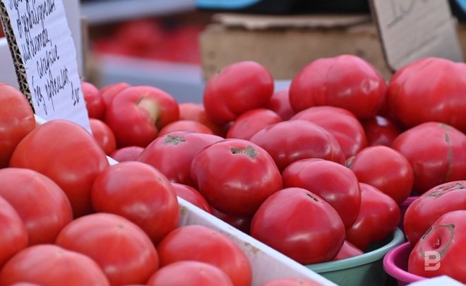 Официальная статистика: в Татарстане подорожали соль, сметана и помидоры