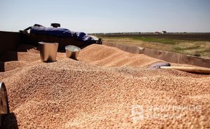 Эрдоган заявил, что надеется на возобновление зерновой сделки