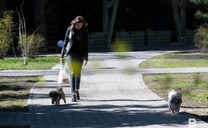 В Татарстан придет потепление: синоптики прогнозируют до +21 градуса