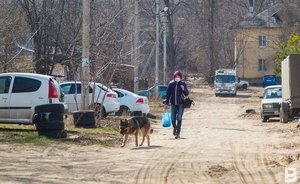 Ограничительные меры в РТ будут сниматься постепенно
