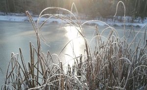 Татарстанцев предупредили о промоинах и трещинах на неокрепшем льду