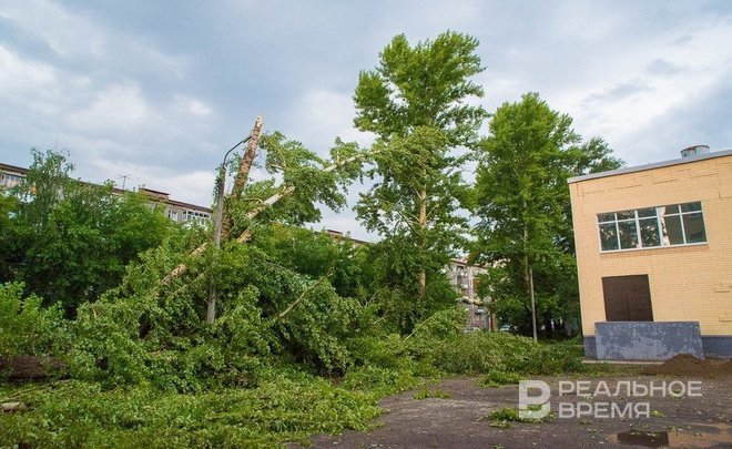 Татарстанцев предупредили о грозе, граде и сильном ветре 11 июля