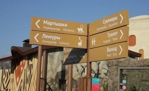 В казанском зоопарке «Река Замбези» меняется график работы