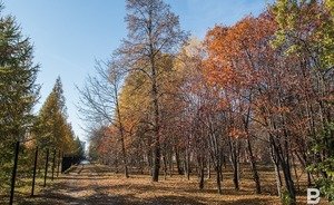 В Гидрометцентре России рассказали, когда в Поволжье вновь придет потепление