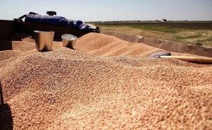 Татарстан станет одним из пилотных регионов по внедрению цифровых технологий в сельском хозяйстве