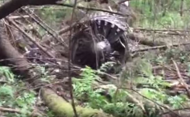 СМИ опубликовали видео с места падения военного самолета под Москвой