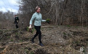 На борьбу с борщевиком Сосновского в Казани направили 9,1 миллиона рублей