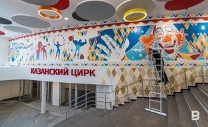Минкультуры РТ вновь объявило конкурс на должность директора Казанского цирка