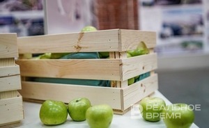 Россельхознадзор запретил ввозить в страну яблоки и персики из Новой Зеландии