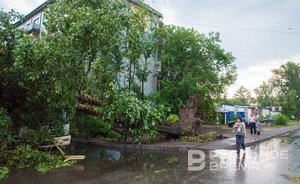 В Казани оценят ущерб гражданам и муниципальному имуществу от урагана 29 июля