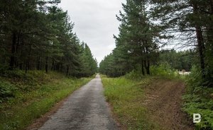 На территории лесного фонда Татарстана выявили и ликвидировали 74 несанкционированные свалки