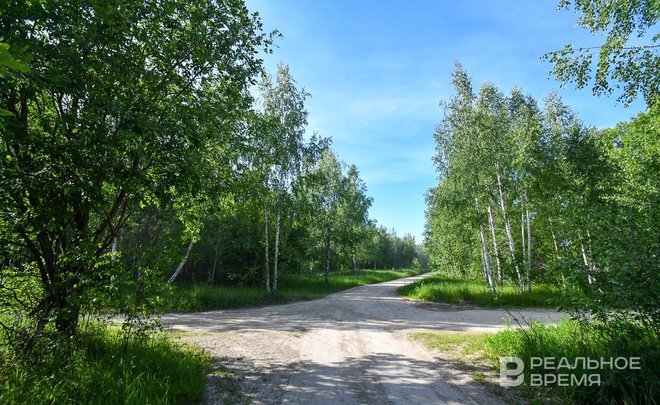 В Татарстане девятый раз продлили штормовое предупреждение о пожароопасности лесов