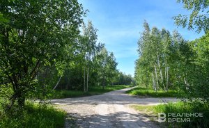 В Татарстане девятый раз продлили штормовое предупреждение о пожароопасности лесов