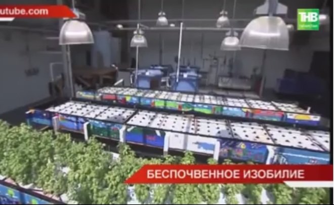 В Иннополисе разработали тренажер по управлению аквапонной фермой