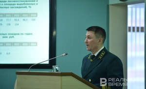 В Татарстане выявили 31,4 тысячи участков, подлежащих исключению из лесного реестра