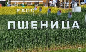 Bloomberg: экспорт пшеницы из России в два раза превысил показатели до спецоперации