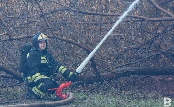 За сутки в России потушили 37 природных пожаров