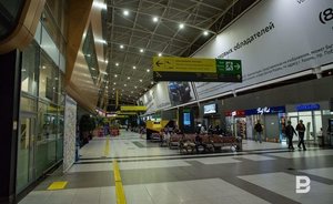 Жительница Татарстана хотела улететь в Турцию со шкурой медведя